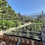 Ca\' De Angiolina