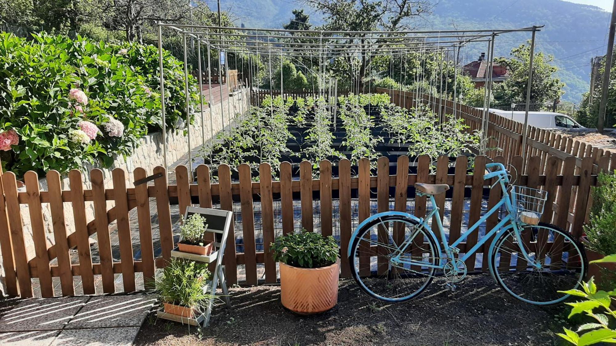 Farm stay Ca' De Angiolina
